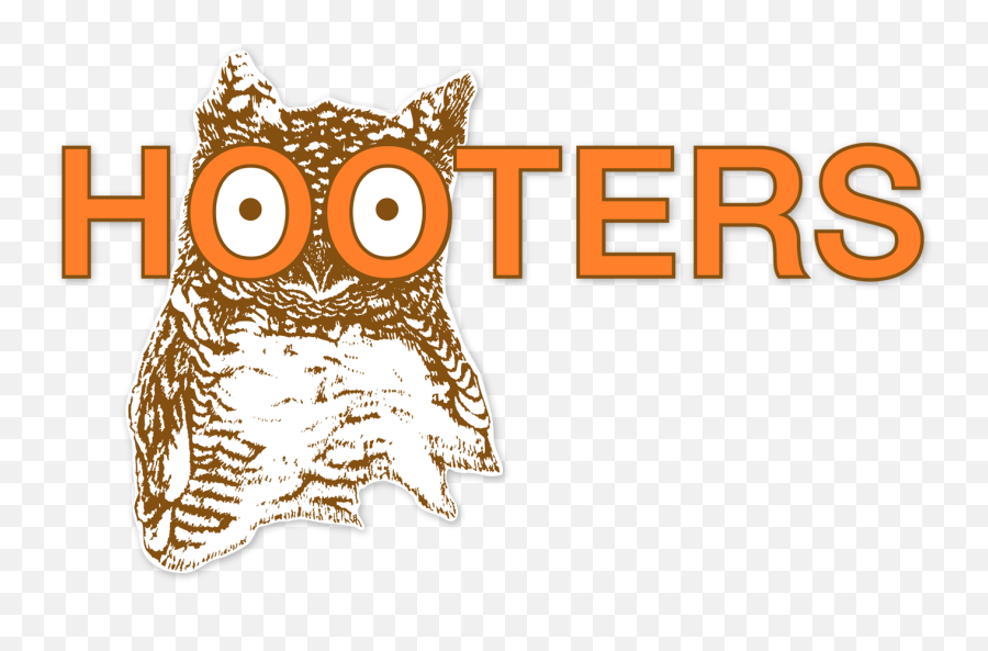 Famous Logos In Helvetica U2014 Steve Lovelace - Hooters Owl Png,Old Burger King Logo