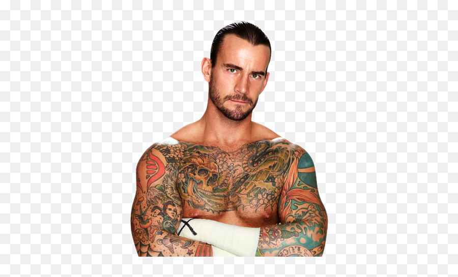 Wwe Region Providence Subregion Second Round 5 Cm Punk - Cm Punk Png,Brock Lesnar Transparent