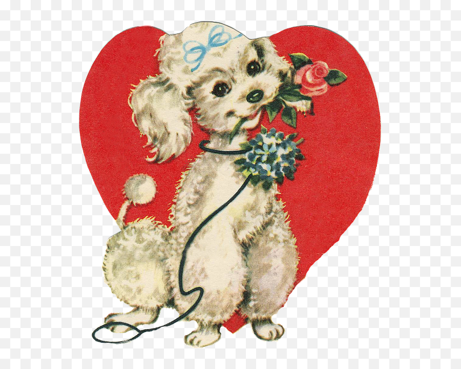 Search Results For Gabe The Dog Png - Toy Poodle Valentines Day,Gabe The Dog Png