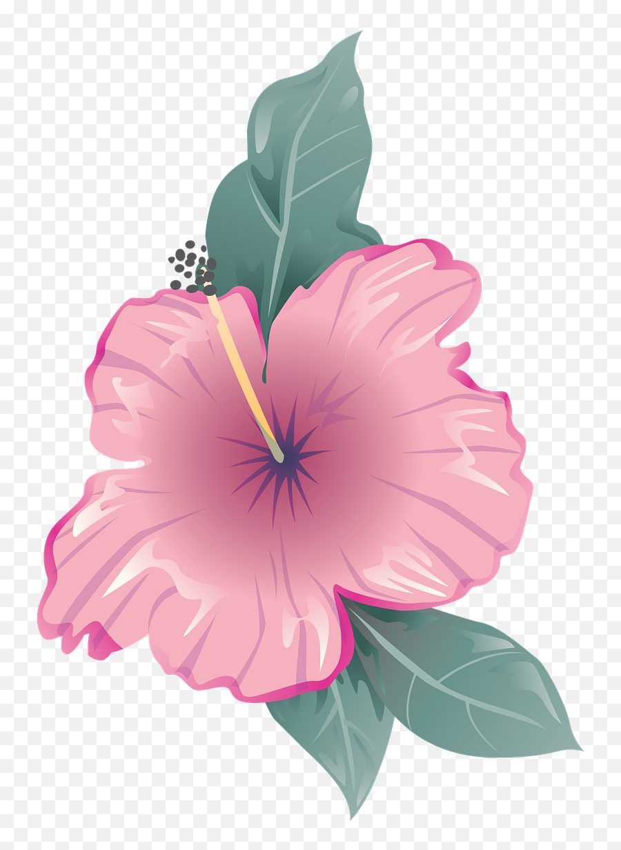 Flower Icon Symbol - Flower Icon Png Pink,Flower Icon Png