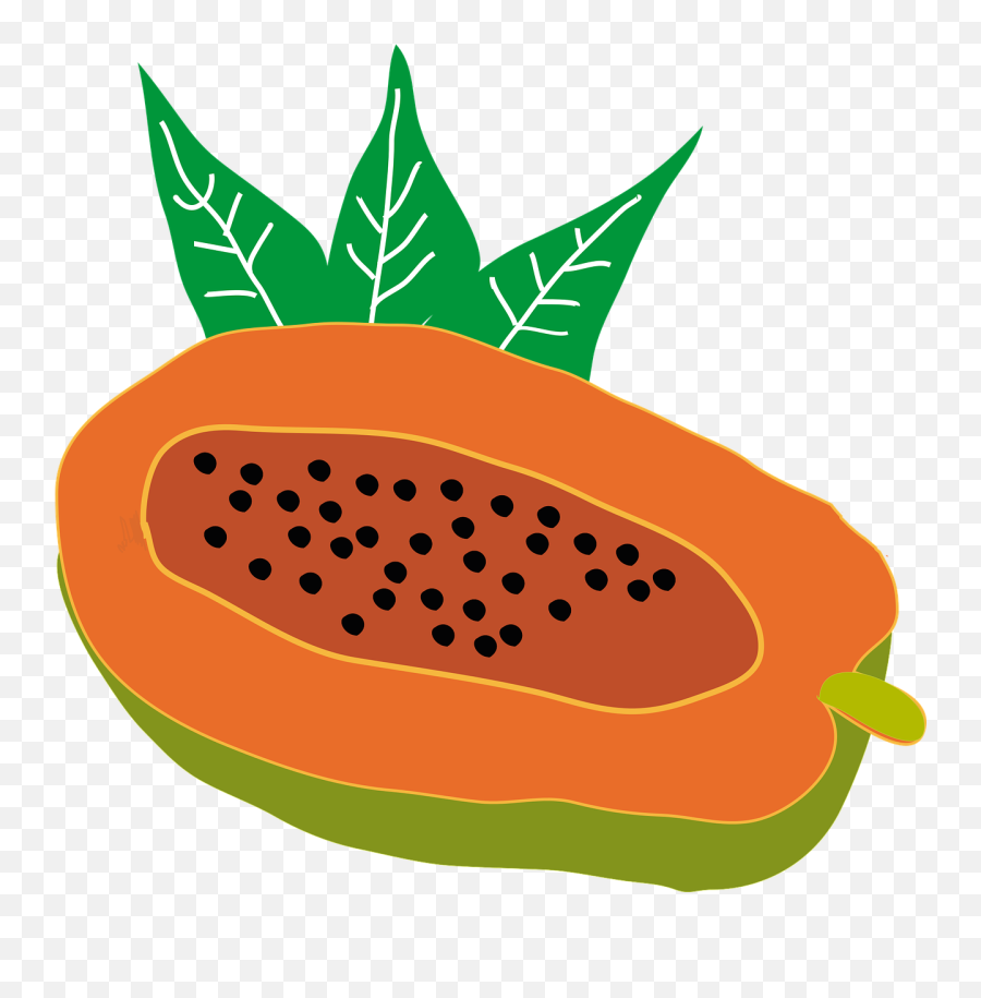 Papaya Fruit - Free Vector Graphic On Pixabay Fresh Png,Papaya Png