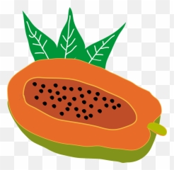 Papaya Fruit - Free Vector Graphic On Pixabay Fresh Png,Papaya Png