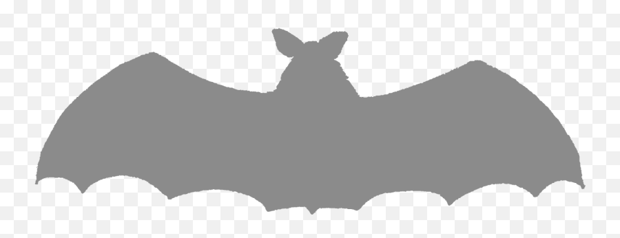 Download Hd Scary Halloween Bat Silhouette Images - Clip Art Equus Png,Bat Silhouette Png