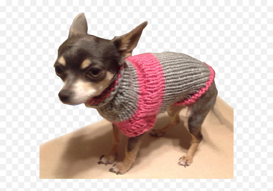 Chihuahua Sweater Pattern By Onnica Hutchings - Chihuahua Sweater Png,Chihuahua Png
