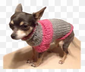 Chihuahua Sweater Pattern By Onnica Hutchings - Chihuahua Sweater Png,Chihuahua Png