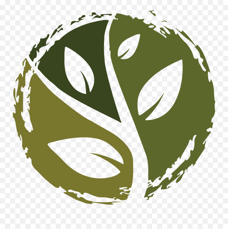 Membership True Vine Church Community - Vine You Are The Branches Png,Vine Logo Png