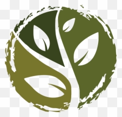 Membership True Vine Church Community - Vine You Are The Branches Png,Vine Logo Png