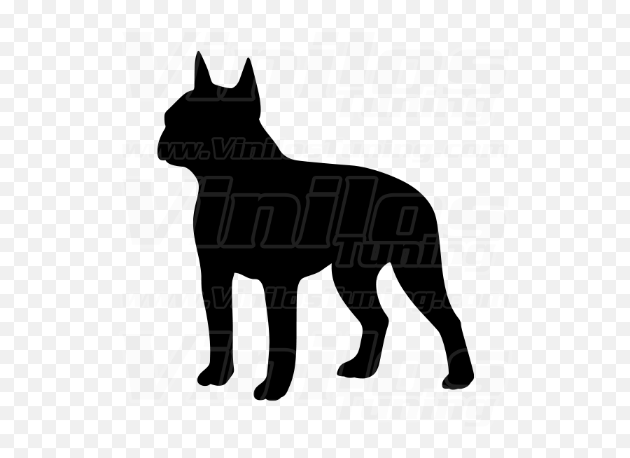 Download Dog Boston Terrier Svg Free Clipart Full Size Clipart Boston Terrier Dog Silhouette Png Free Transparent Png Images Pngaaa Com