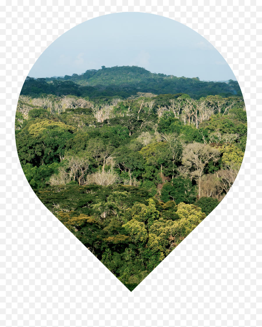 Grass Hill Png - Cote D Ivoire Landscape,Grass Hill Png