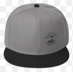 Special Edition Bts Logo Snap Back Png