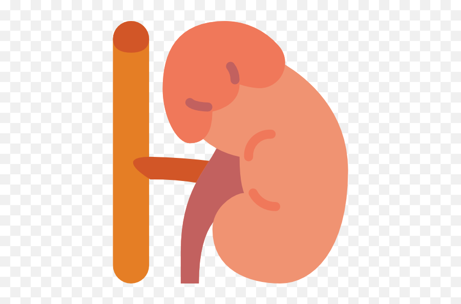 Adrenal Gland - Adrenal Gland Icon Png,Adrenal Icon
