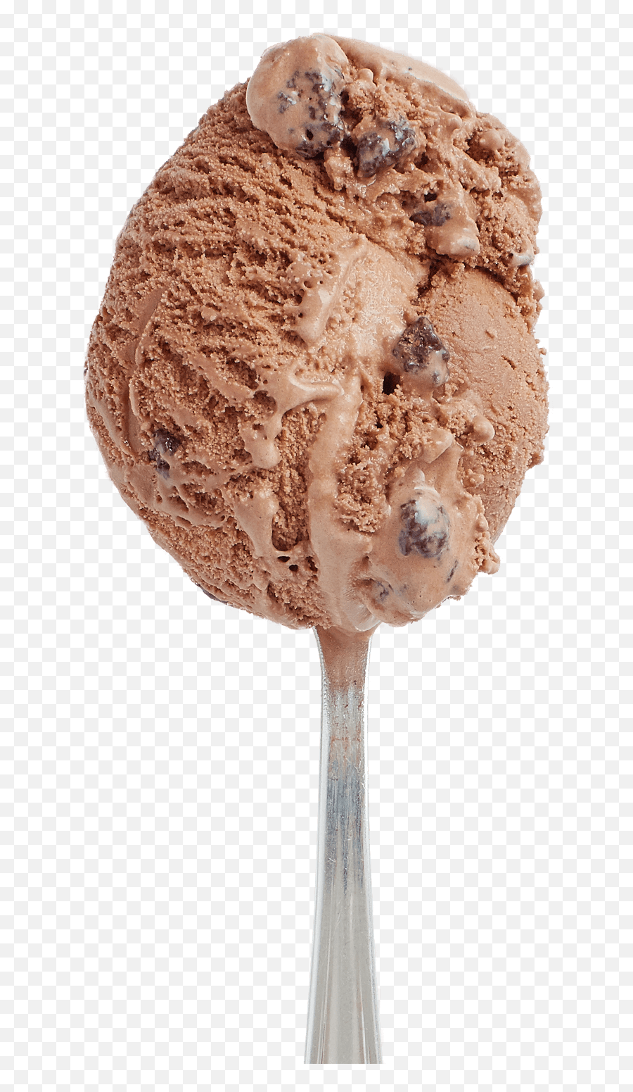 Double Chocolate Almond - Hudsonville Ice Cream Chocolate Ice Cream Png,Almonds Icon