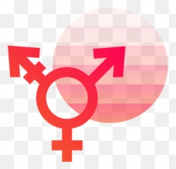 Programs - Learning Snippets Diversity Equity U0026 Inclusion Male To Female Symbol Png,Sex Symbol Icon