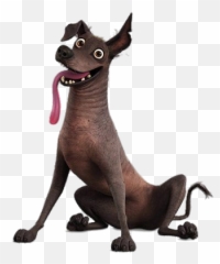 Coco Dog Dante Sitting Png Image