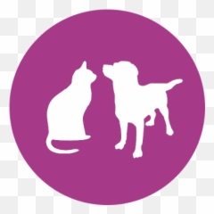 Petco Foundation Vehicle Donation Program - Marathi Quotes With Dog png