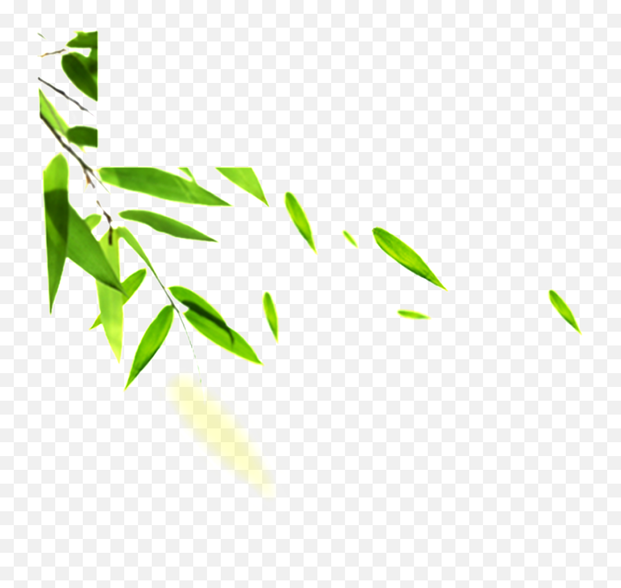 Hand Painted Bamboo Leaves Hd Png - Hojas Al Viento Png,Bamboo Leaves Png