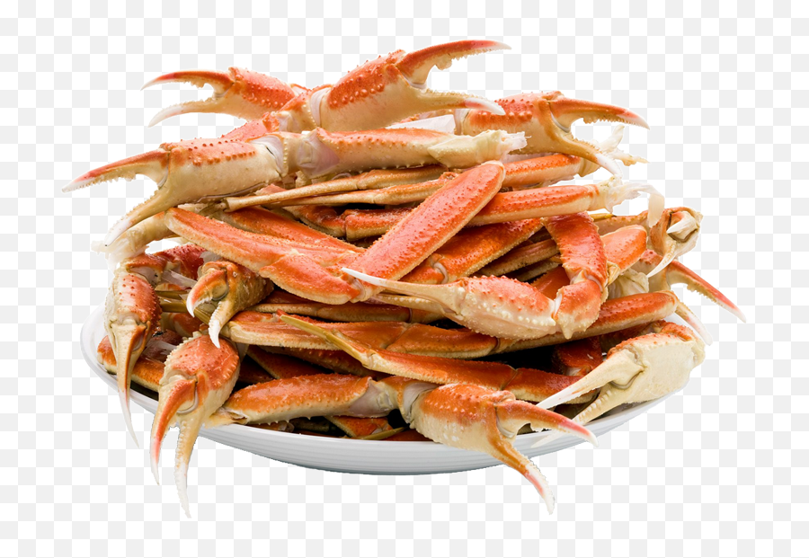 Crab Png - Seafood Boil Png,Legs Png