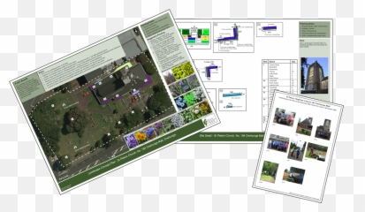 Landscape U0026 Project Design Concepts Jensen Graphics Ltd - Screenshot Png,Tree Plan View Png