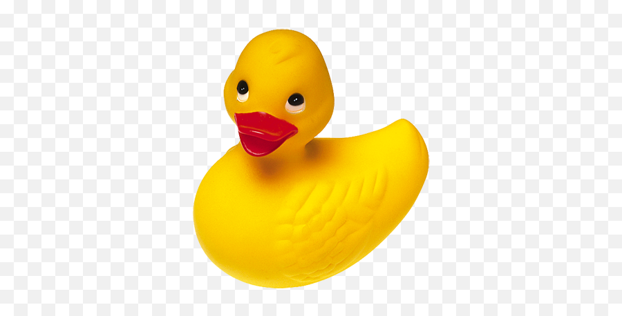 Duck Png Available In Different Size 20140 - Free Icons And Yellow Rubber Ducky,Rubber Duck Png