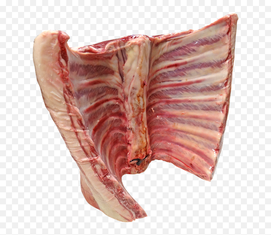 Meat Sheep Png 4 Image