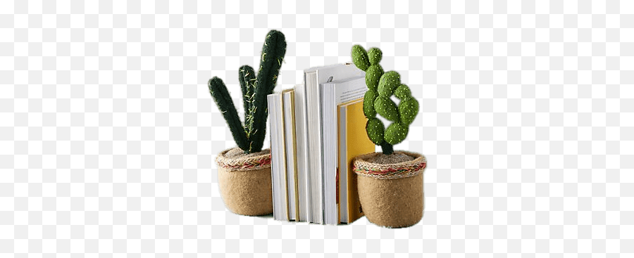 Imitation Succulent Bookends Transparent Png - Stickpng Bookends Png,Succulent Transparent Background