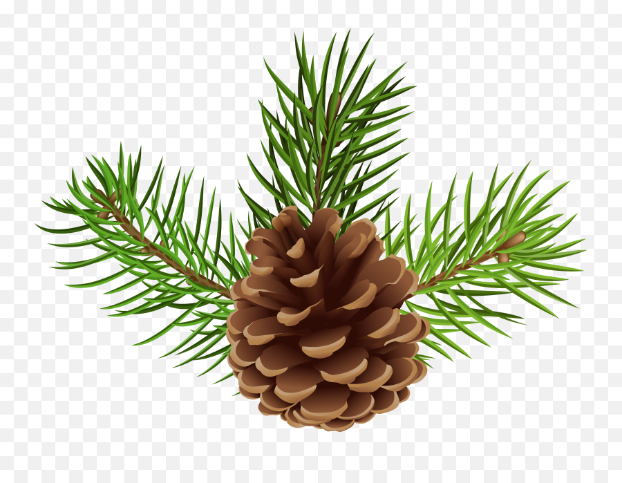 Pine Cone - Pine Cone Transparent Background Png,Pine Cone Png