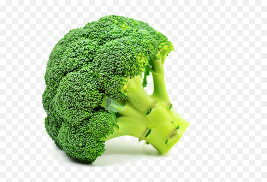 Hd Broccoli - Green Broccoli Png,Brocoli Png