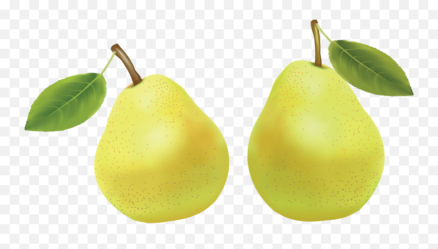 Pear Png - Pears Png,Pears Png