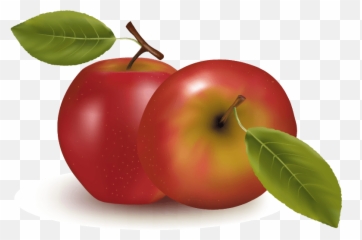 Orange Apple Apricot Cherry Plum Png Images Download Vector - 8 Kinds Of Fruits,Plum Png