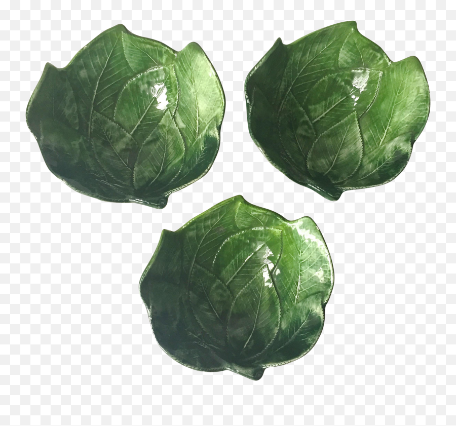 Brussels Sprout - 2601x2316 Png Clipart Download Brussels Sprout Png Free,Sprout Png