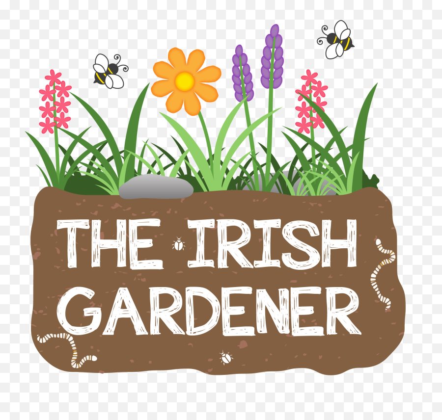 Gardener Full Size Png Download Seekpng - English Grammar In Use,Gardener Png