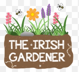 Gardener Full Size Png Download Seekpng - English Grammar In Use,Gardener Png