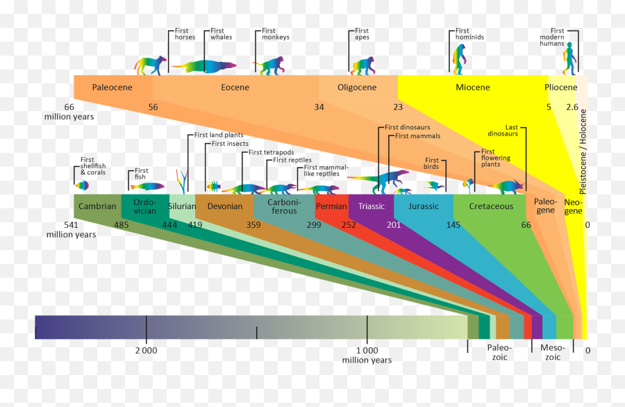 23 - Geologicaltimelinee19022019 Norwegianpetroleumno Simplified Geological Time Scale Png,Timeline Transparent