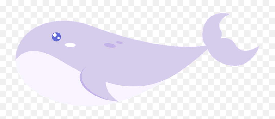 Whale Marine Sea Underwater - Free Vector Graphic On Pixabay Fish Png,Marine Logo Vector