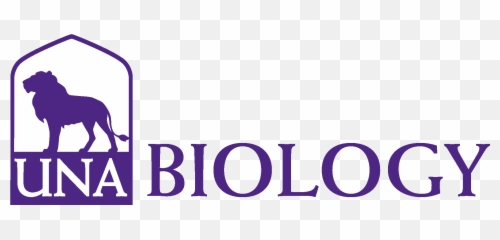 College Of Arts And Sciences - University North Alabama png