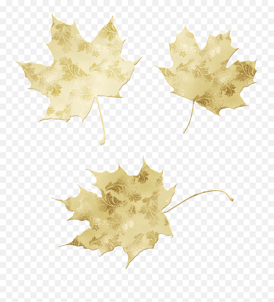 Gold Foil Leaves Glitter - Lovely Png,Gold Leaves Png