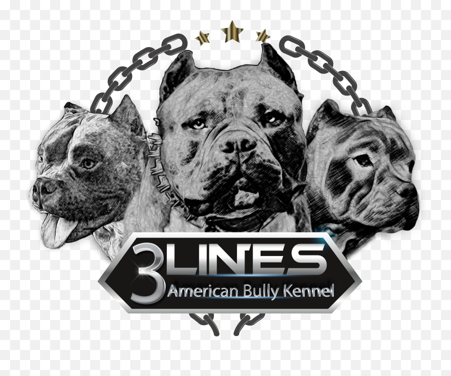 3lines American Bully Kennel - Collar Png,American Bully Logo