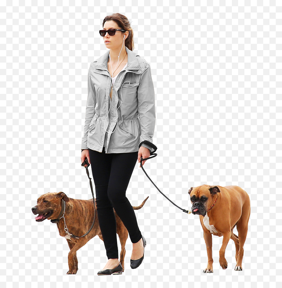 Woman Dogs Gray People Png Cutout Render - Png People Walking Dog,Pet Png