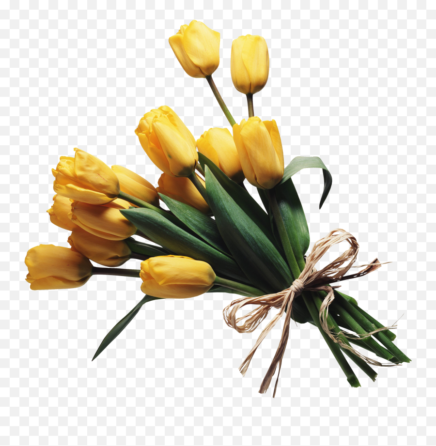 Bouquet Of Flowers Png In High Resolution Web Icons - Yellow Moodboard Png,Flowers Bouquet Png