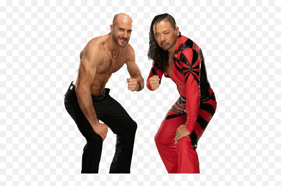 Hot Tag 2020 Rawsmackdown Draft Wrestle Royalty - Fist Png,Cesaro Png
