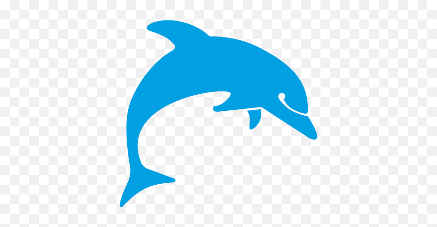 Contact Us Mtg Dolphin Shiprepair U0026 Shipbuilding Company - Common Bottlenose Dolphin Png,Dolphin Icon
