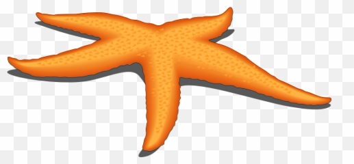 Clipart Of Owner Compound And Starfish The - Starfish Starfish Png,Starfish Transparent