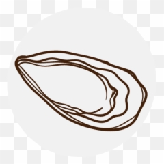 Supplements 101 U2013 Rootu0027d - Sketch png