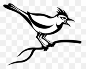 Alternativas Cuckoo - Cuckoosandbox Icon Transparent png