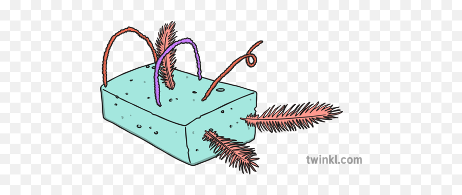Stick Feathers In Sponge Illustration - Twinkl Del Iutembi Png,Sponge Png
