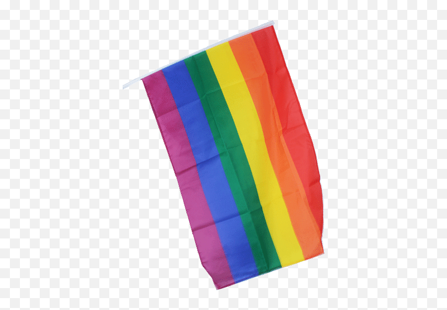 Buy Gay Pride Bear Flags From 390 For Sale - Vertical Png,Pansexual Flag Icon