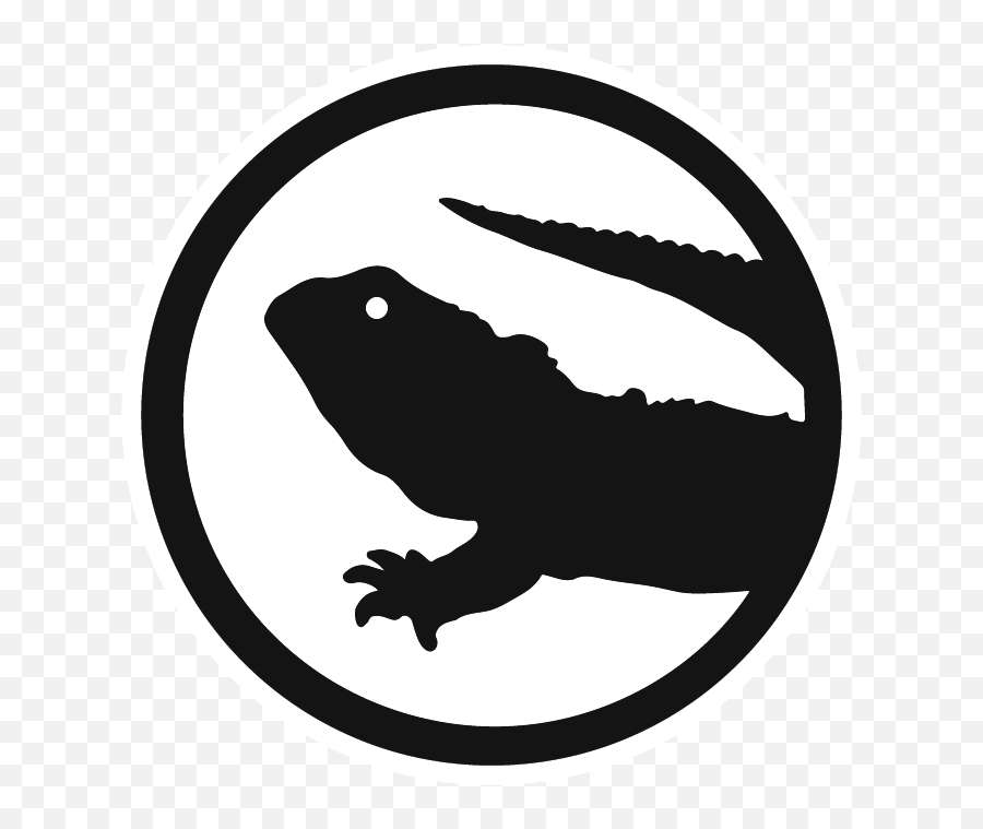 Welcome To Tuataria - Tuataria A Discord Community Of Turtles All The Way Down Tuatara Png,Green Discord Icon