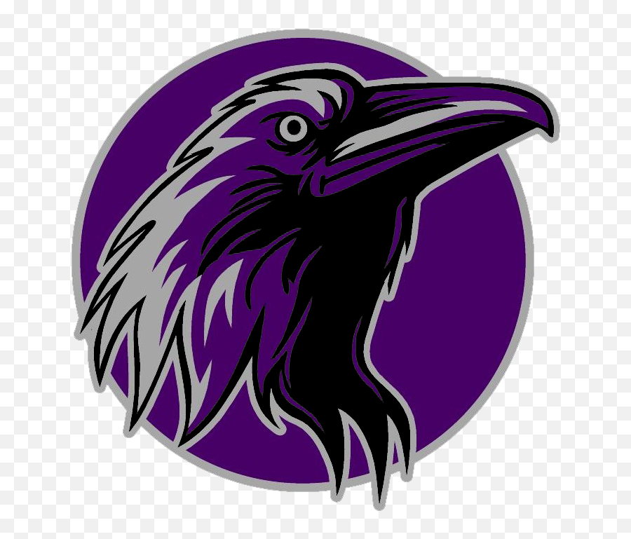 Ridgeview High School Home Of The Ravens - Ridgeview High School Redmond Oregon Png,Ravens Logo Transparent