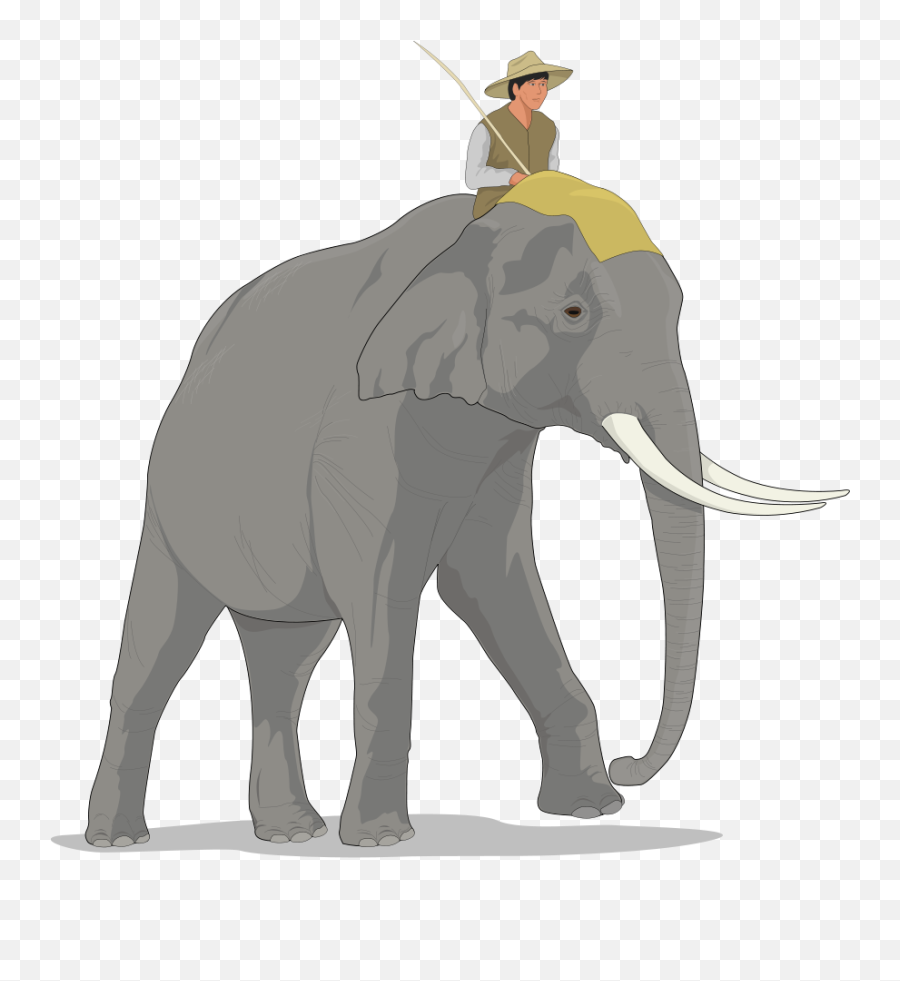 Download Asian Elephant Clipart Large - Elephant Elephant And Rider Metaphor Png,Elephant Clipart Transparent Background
