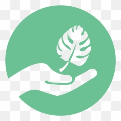 Home - Seattle Plant Company png